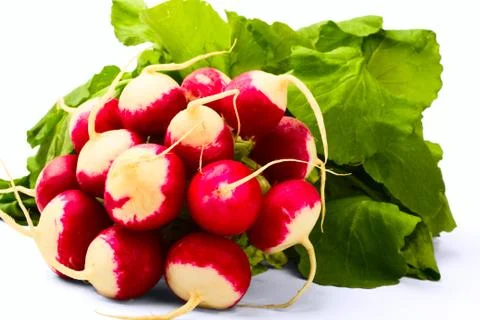 Radish Stock Photos
