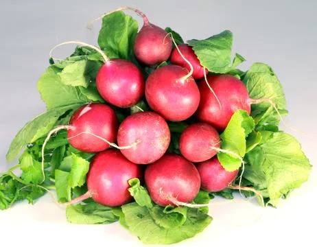 Radish Stock Photos