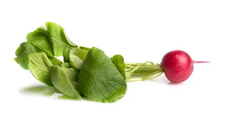 Radish Stock Photos