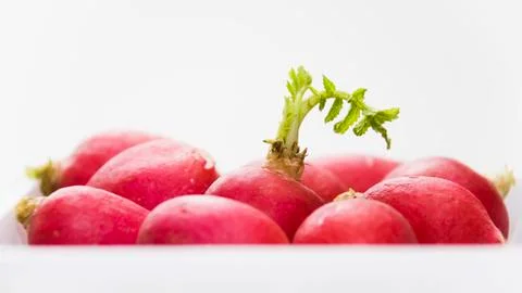 Radish Stock Photos