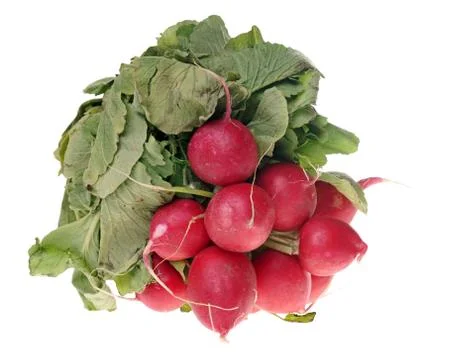 Radish Stock Photos