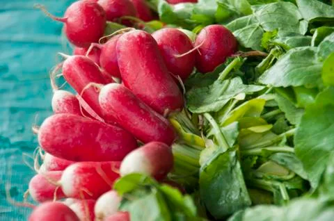 Radish Stock Photos