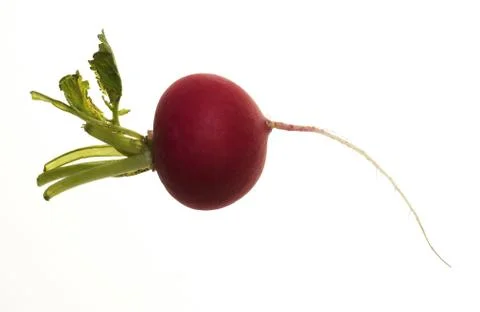 Radish Stock Photos