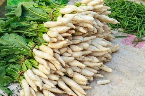 Radish Stock Photos