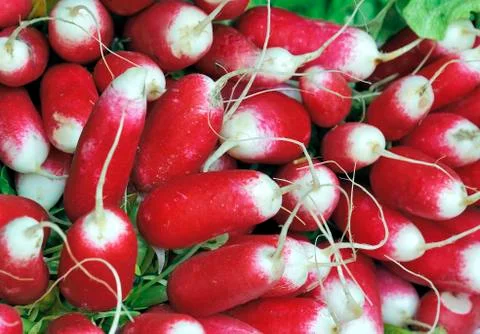 Radish Stock Photos