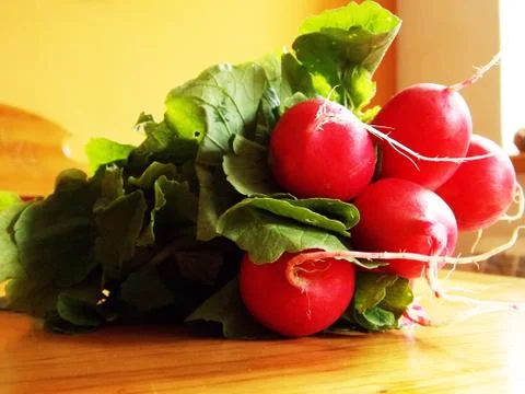 Radish. Stock Photos