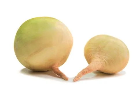 Radish Stock Photos