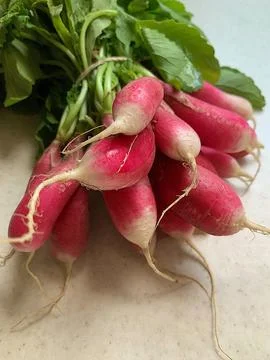 Radish Stock Photos