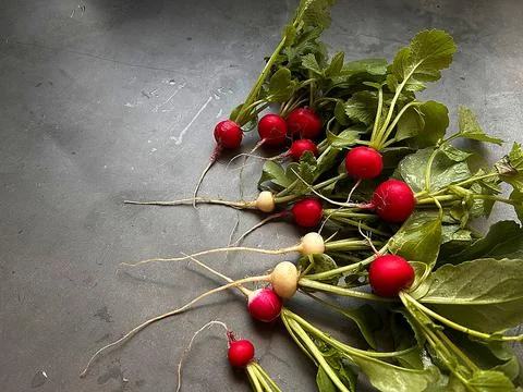 Radish Stock Photos