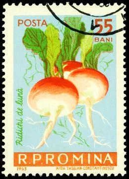 Radish on postage stamp Stock Photos