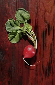 Radish on red background Stock-Fotos