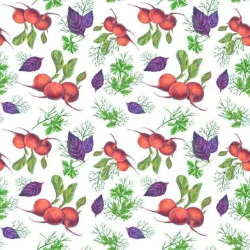 Radish root with sprigs of green herbs - basil, dill and parsley. Seamless Stock Illustration