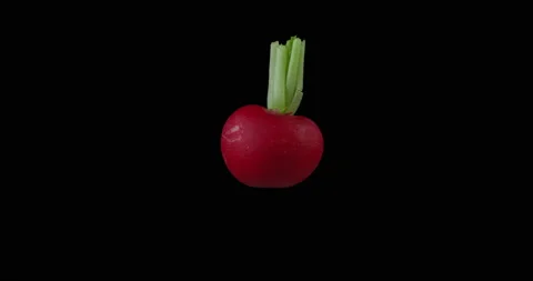 Radish rotating with black background Stock Footage 233580228
