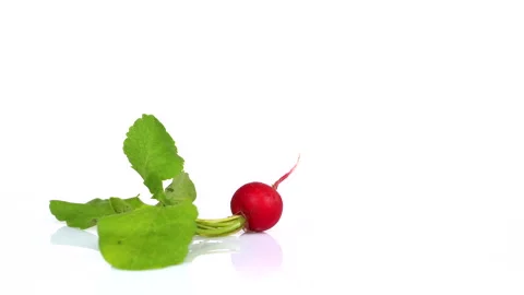 Radish rotating on white background. 4k resolution Stock Footage 171655314