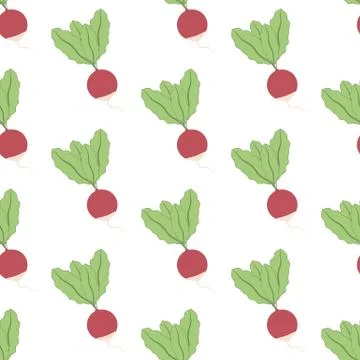 Radish seamless pattern Stock Illustration