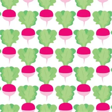 Radish seamless pattern Stock Illustration