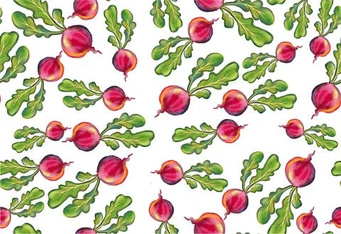 Radish seamless pattern, print and quality illustration Stock Illustration