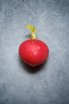Radish on a table Фото
