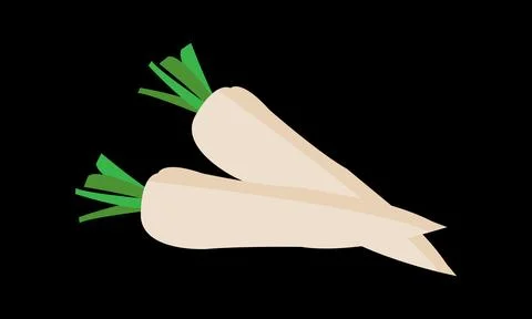 Radish Vector Design And Illustration. Stock Illustration