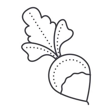 Radish vector line icon, sign, illustration on background, editable strokes Stock Illustration