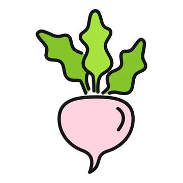 Radish vegetable flat color outline icon illustration Stock Illustration