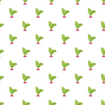 Radish vegetable food pattern illustration on white background Stock Illustration