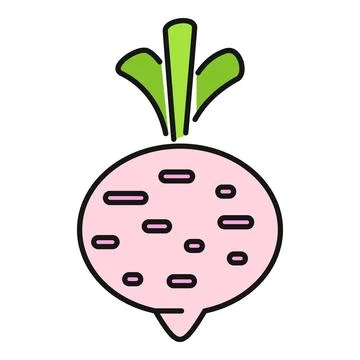 Radish vegetable icon vector illustrating healthy fresh food Stock Illustration