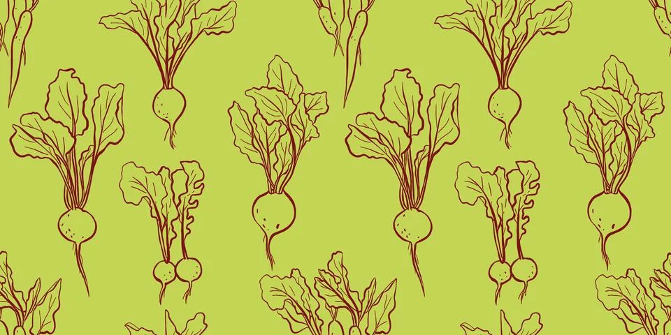 Radish Vegetable Vector Seamless Line Pattern 스톡 일러스트