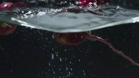 Radish on the water Stock Footage 274859835