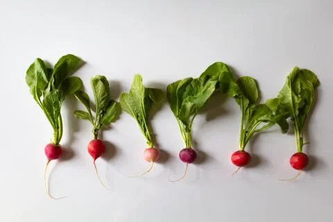 Radish On White Background Stockfoto's