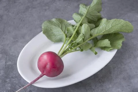 Radish on a white ceramic plate on the table Stock Photos