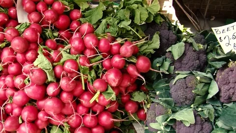 Radishes Stock Footage 108554852