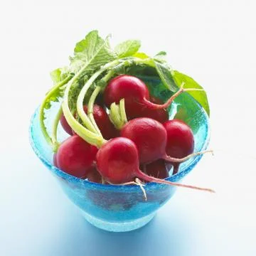 Radishes  Stock Photos