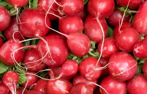 Radishes Stock Photos