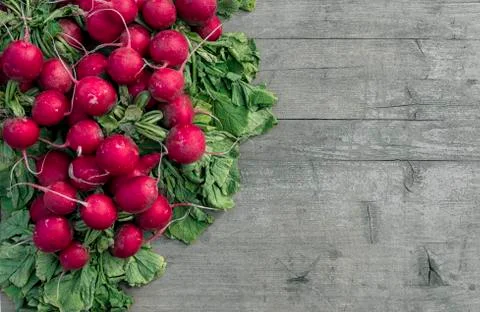 Radishes Stock Photos