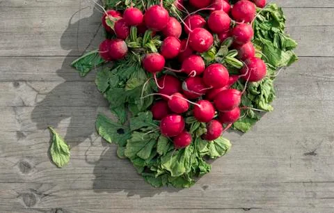 Radishes Stock Photos