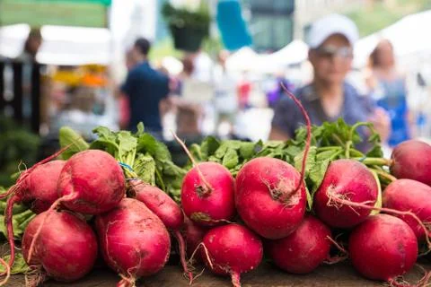Radishes Stock Photos