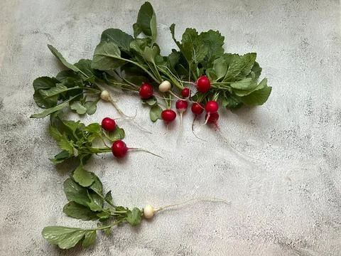 Radishes Stock Photos