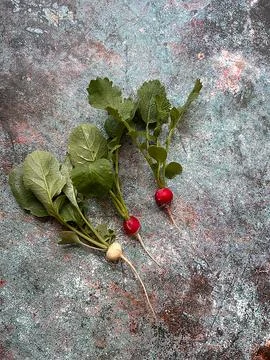 Radishes Stock Photos