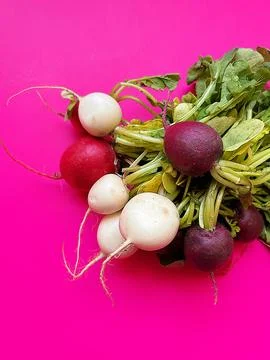 Radishes Stock Photos