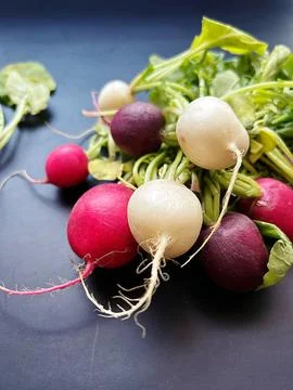 Radishes Stock Photos