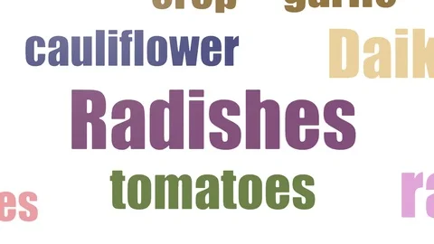 Radishes Tag Cloud Animated Isolated Stock Footage 107228856