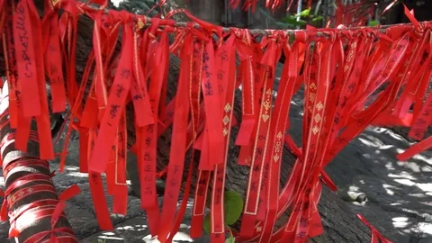 Radlent Stock Footage 103246616