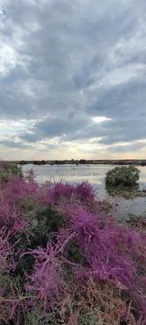 Radon source Foto stock