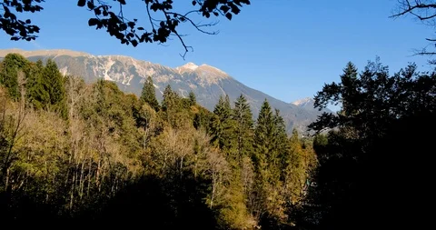 Radovna river flows in Vintgar Gorge. Wooden bridges. Triglav National Park Stock Footage 119333053