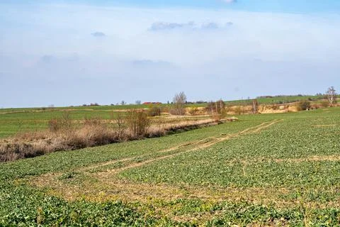 Radzionkow's fields Stock Photos