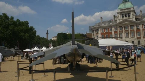RAF 100 Horse Guards 5 Stock Footage 91897660