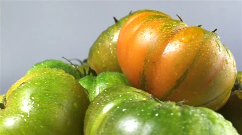Raf Tomatoes isolated rotating on gray background Stock Footage 62413076
