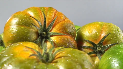 Raf Tomatoes isolated rotating on gray background 스톡 동영상 62414276