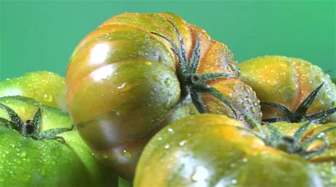 Raf Tomatoes isolated rotating on green background Stock Footage 62413217